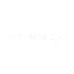 VINCI